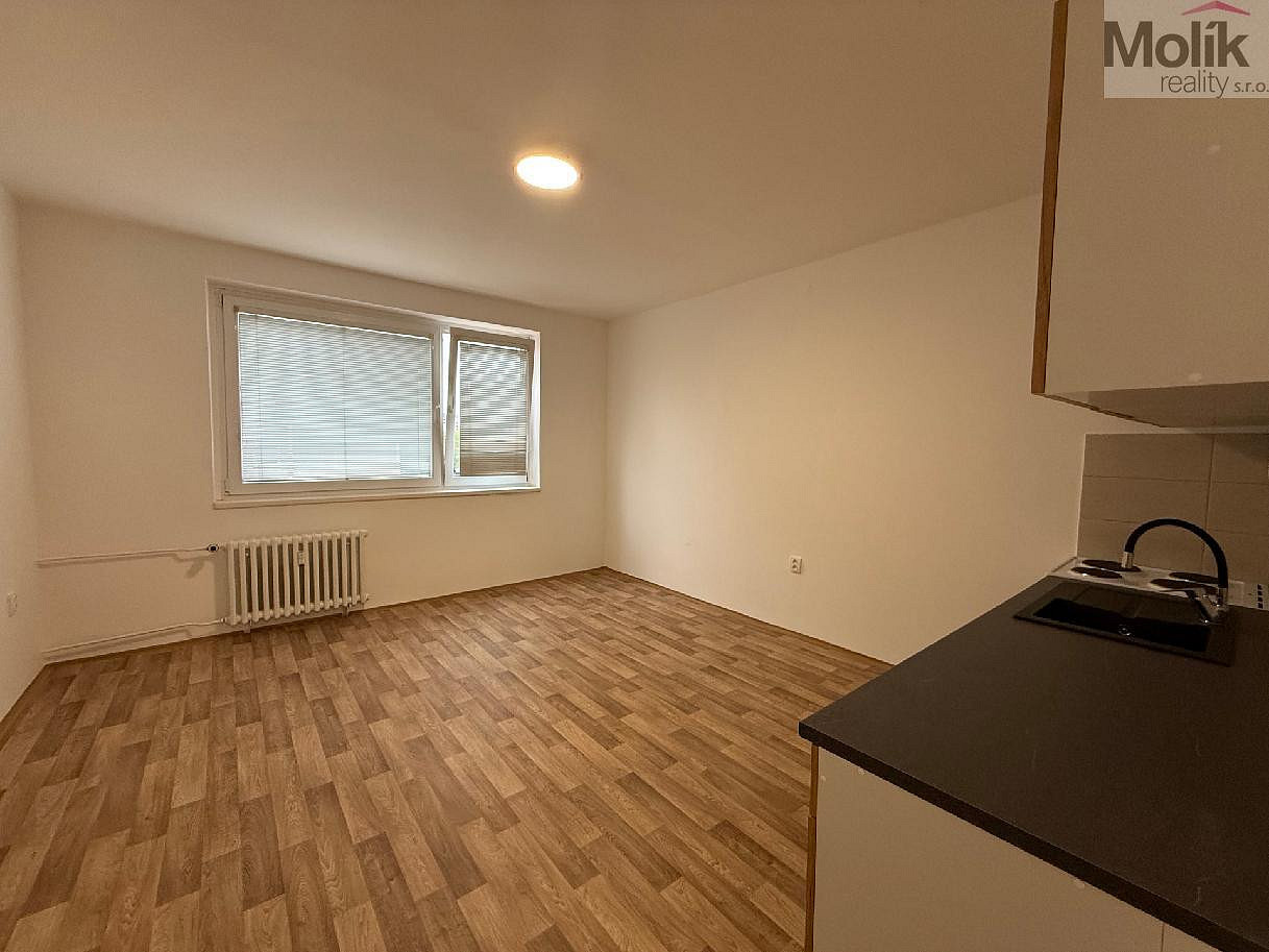 Pronájem bytu 2+kk 40 m² – fotografie 4