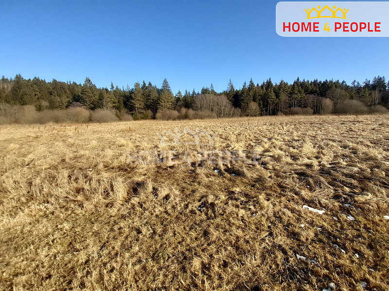 Prodej louky 11 835 m² — photo 2