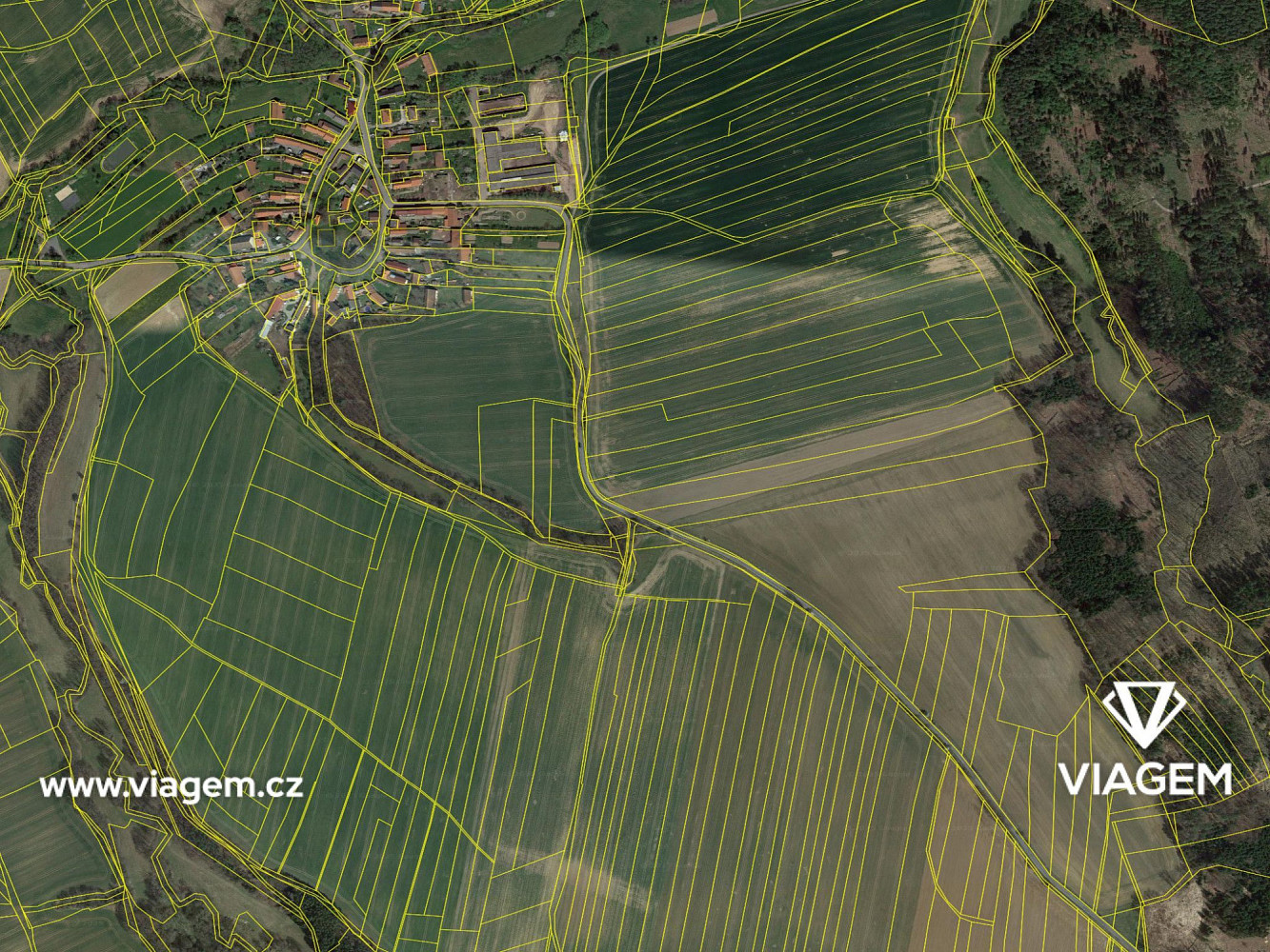 Prodej pole 259 m² – fotografie 4