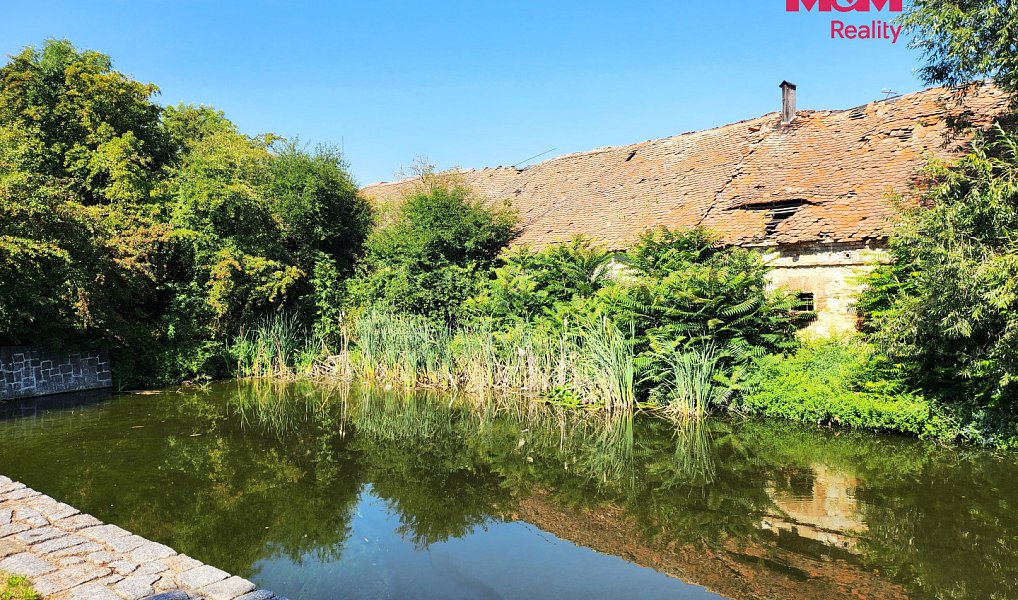 Prodej domu 424 m² s pozemkem 4 756 m², Měcholupy – náhled fotky 15