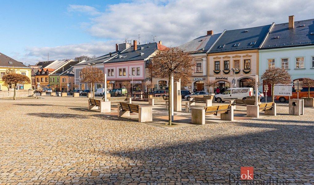 Prodej domu 700 m² s pozemkem 265 m², Polička – náhled fotky 6