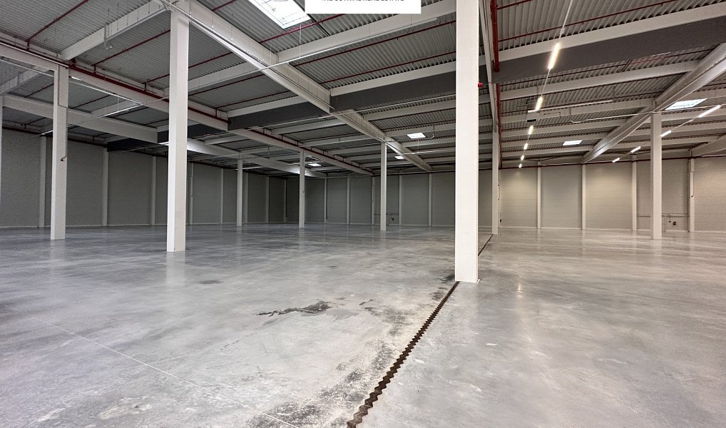 Pronájem skladovacích prostor 3 500 m², Myslinka – náhled fotky 2
