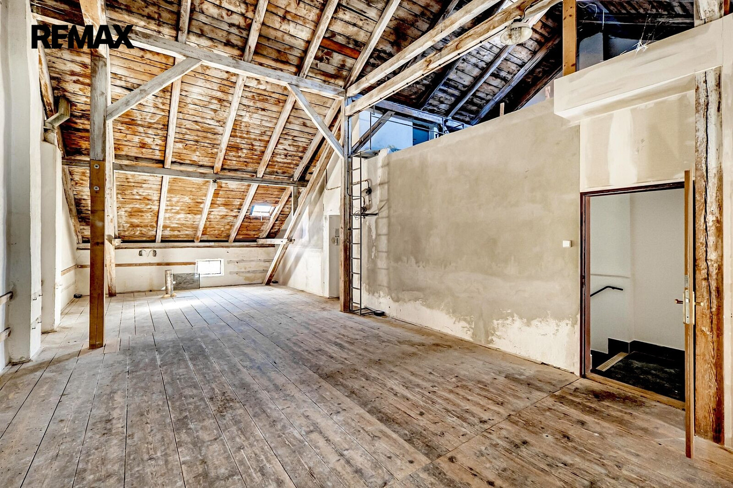 Pronájem kanceláře 260 m² – fotografie 3