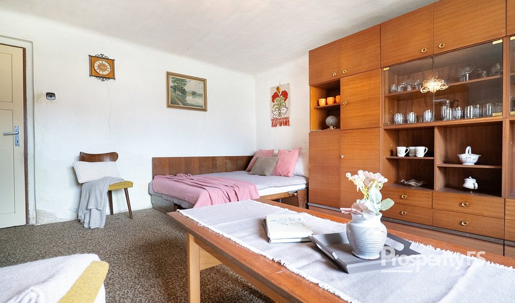 Prodej domu 120 m² s pozemkem 2 453 m², Pavlíkov – náhled fotky 10