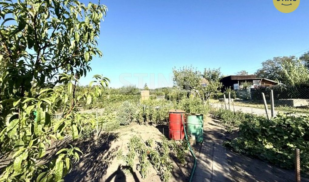 Prodej zahrady 261 m², Hodonín – náhled fotky 8