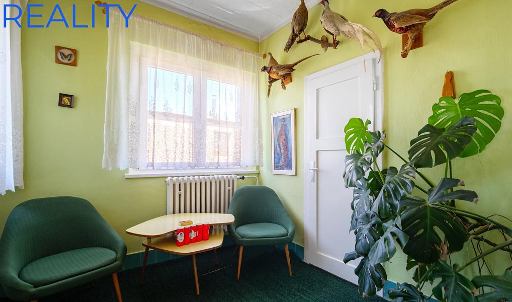 Prodej domu 250 m² s pozemkem 666 m², Hať – náhled fotky 7