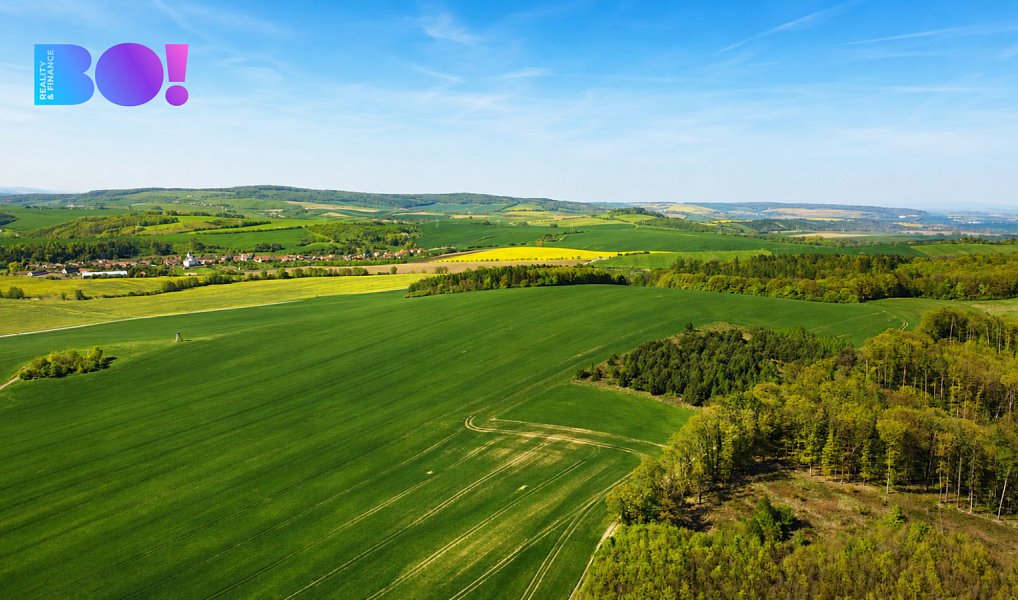 Prodej stavebního pozemku 203 m², Zástřizly – náhled fotky 6