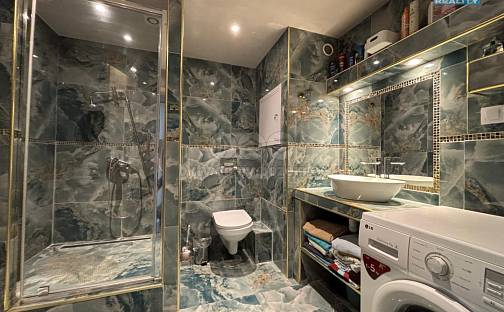 Prodej bytu 3+1 77 m², F. S. Tůmy, Orlová - Lutyně, okres Karviná