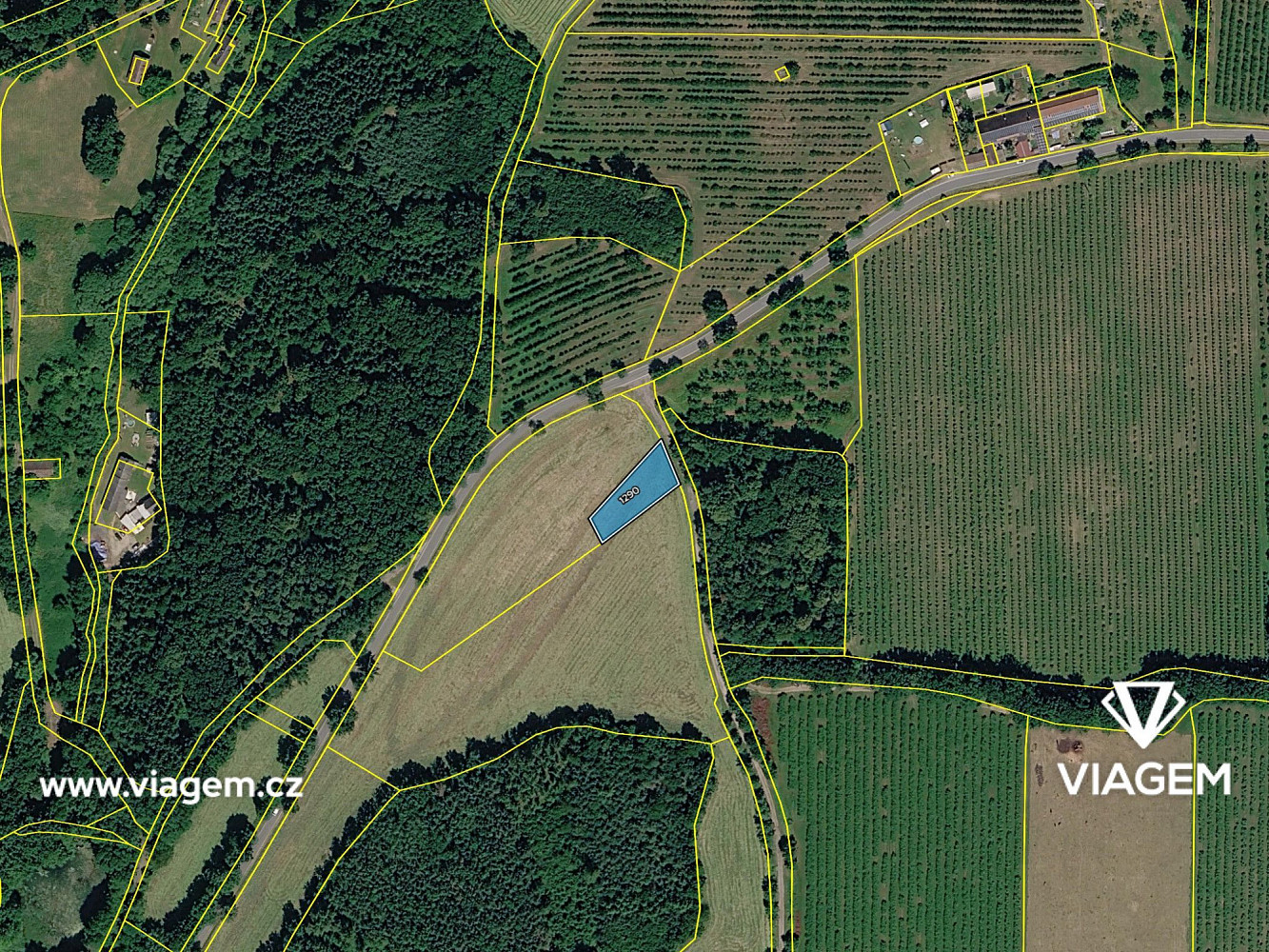Pole 934 m², Podíl 50 % o výměře 467 m² – pohled 4
