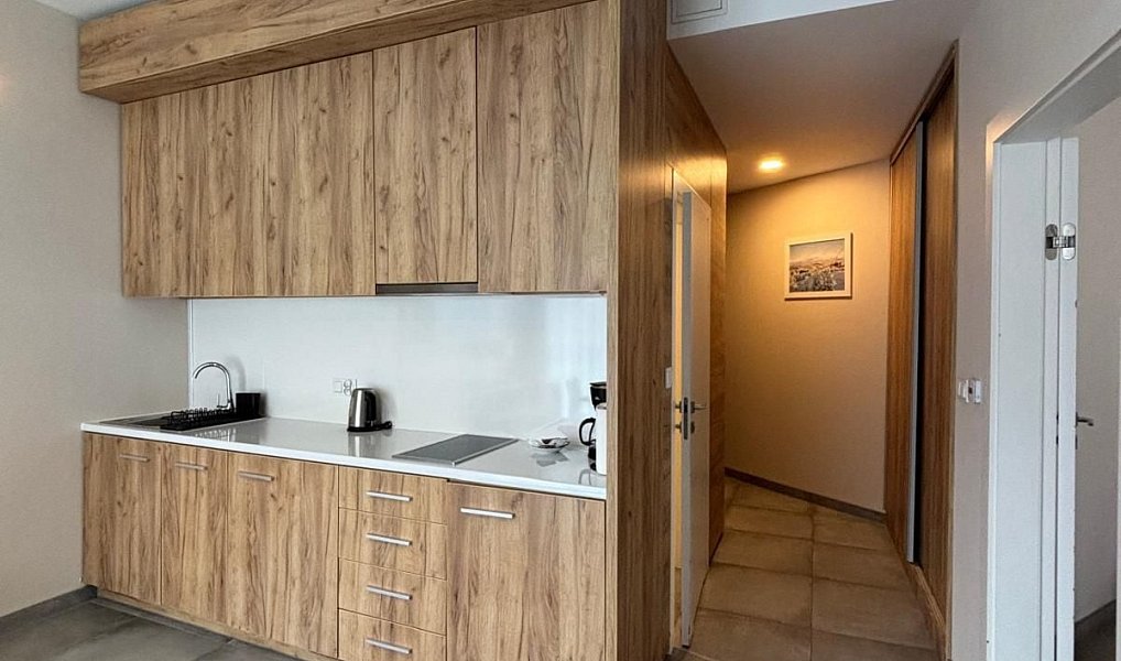 Prodej bytu 2+kk 44 m², Dolní Morava – náhled fotky 6