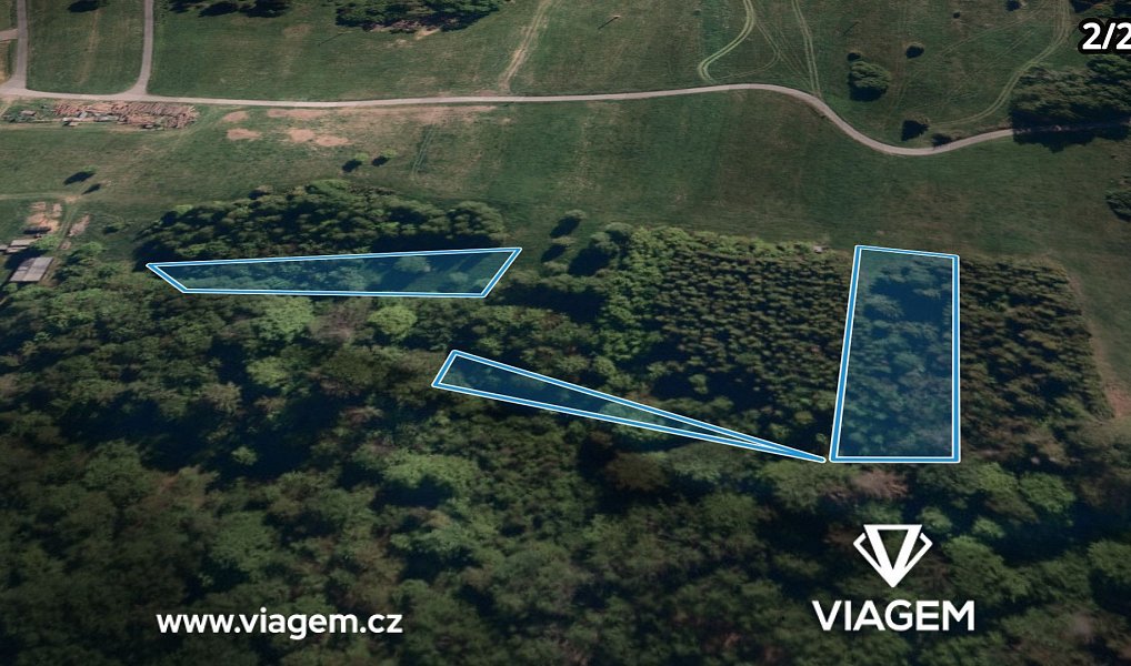 Prodej lesa 4 836 m², Hrčava – náhled fotky 6