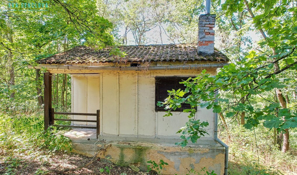 Prodej chaty/chalupy 27 m² s pozemkem 753 m², Plzeň – náhled fotky 13