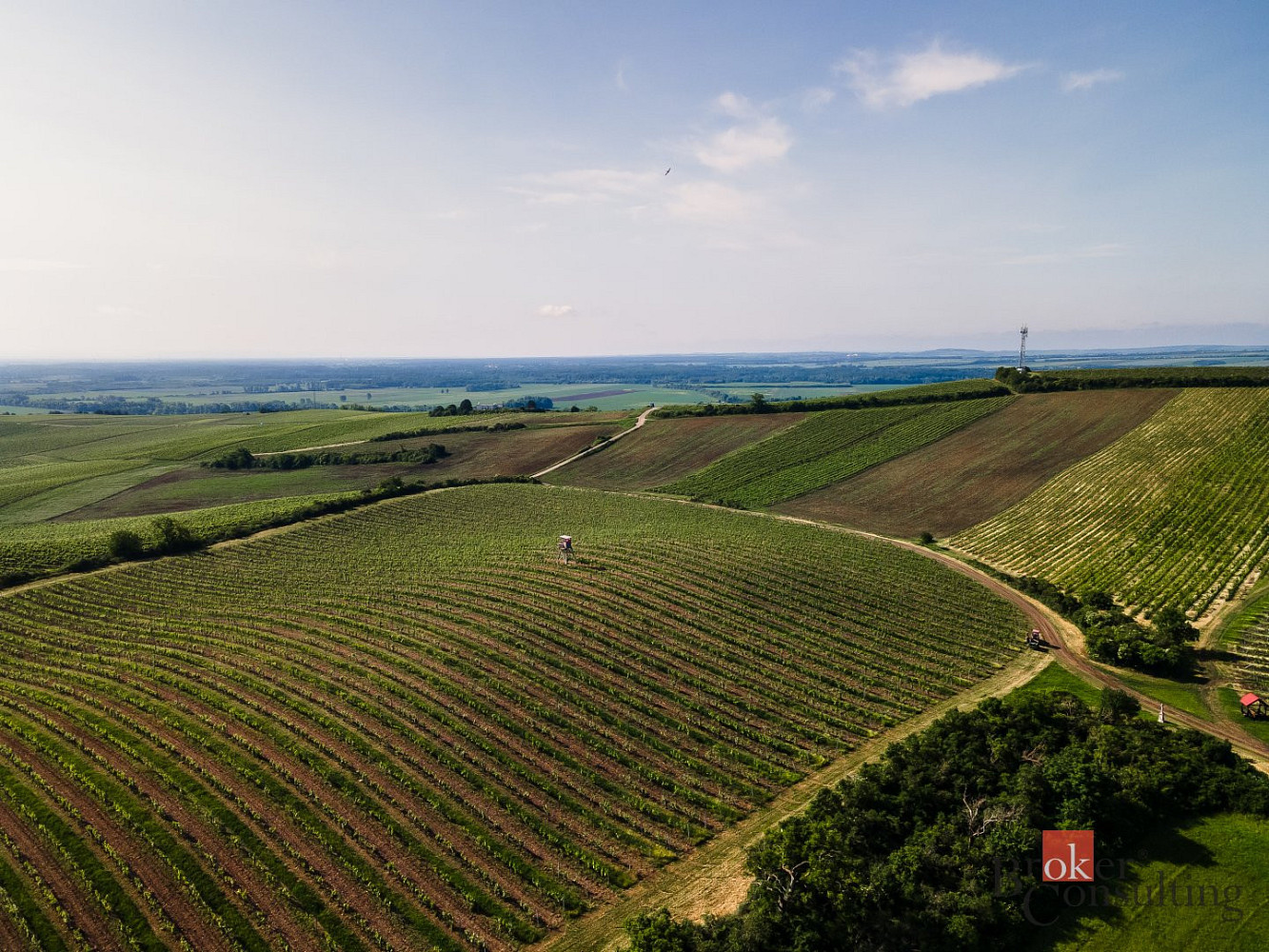 Prodej pozemku 256 256 m² – fotografie 2