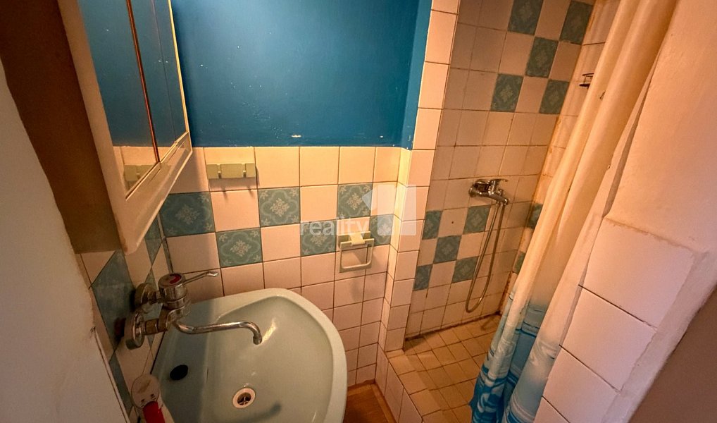 Prodej domu 200 m² s pozemkem 70 m², Plzeň – náhled fotky 18