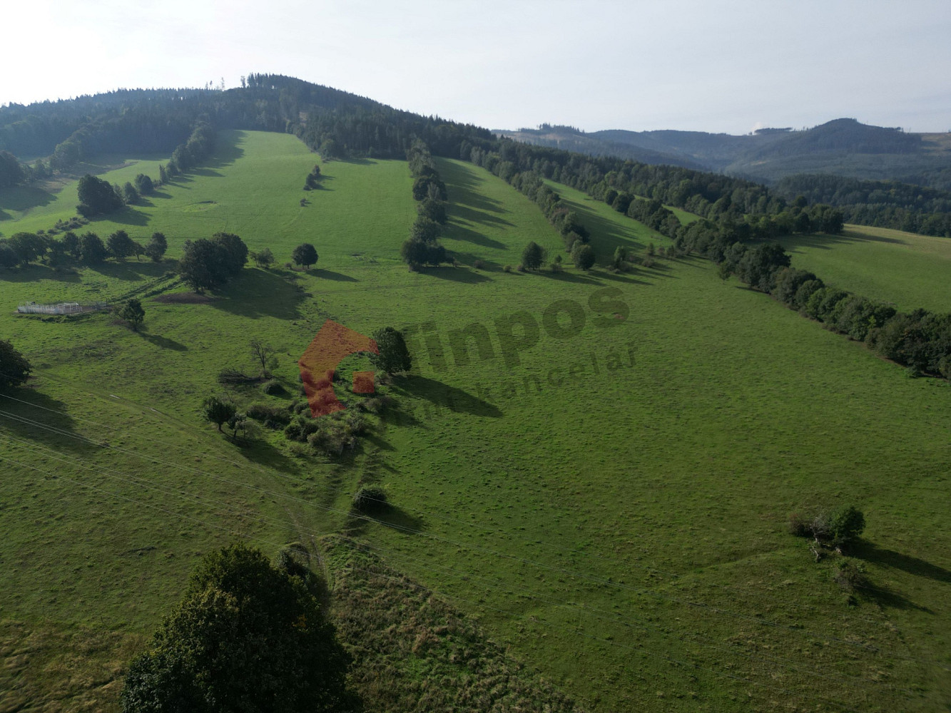 Prodej stavebního pozemku 2 978 m² – fotografie 5