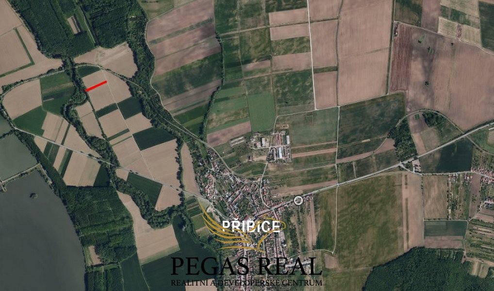 Prodej zahrady 2 534 m², Přibice – náhled fotky 4