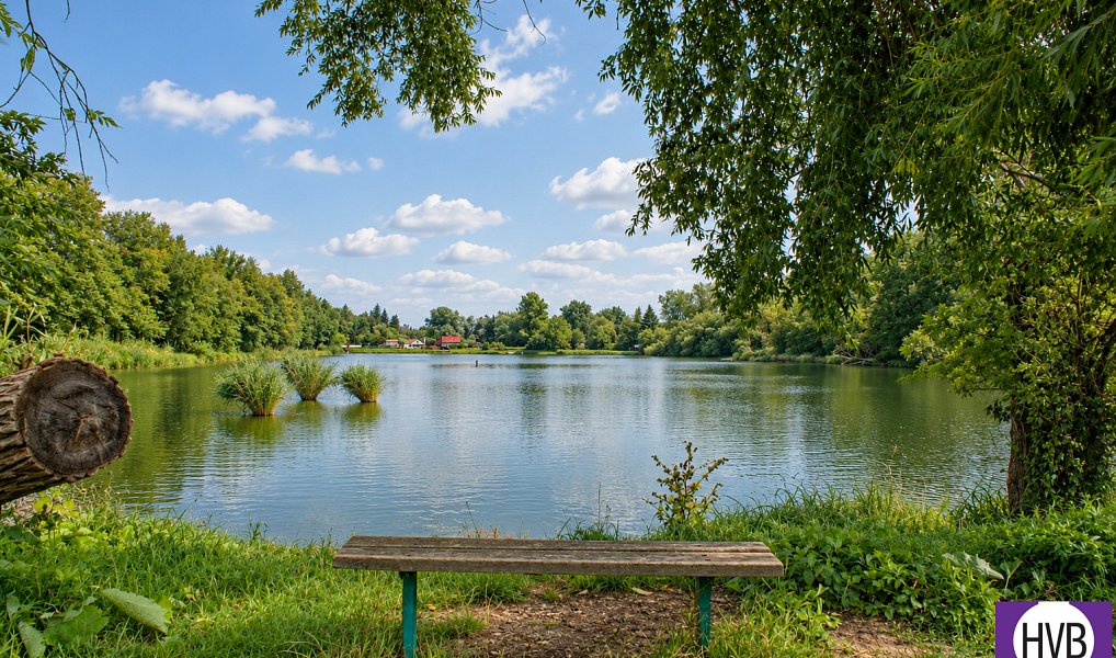 Prodej domu 100 m² s pozemkem 900 m², Český Brod – náhled fotky 7