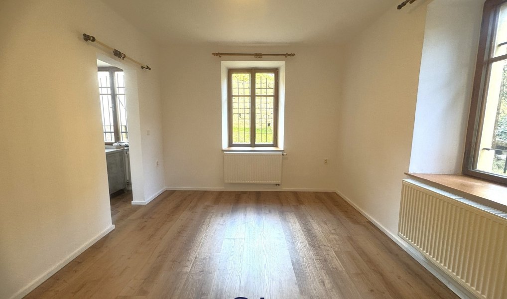 Pronájem bytu 1+kk 20 m², Liberec – náhled fotky 2