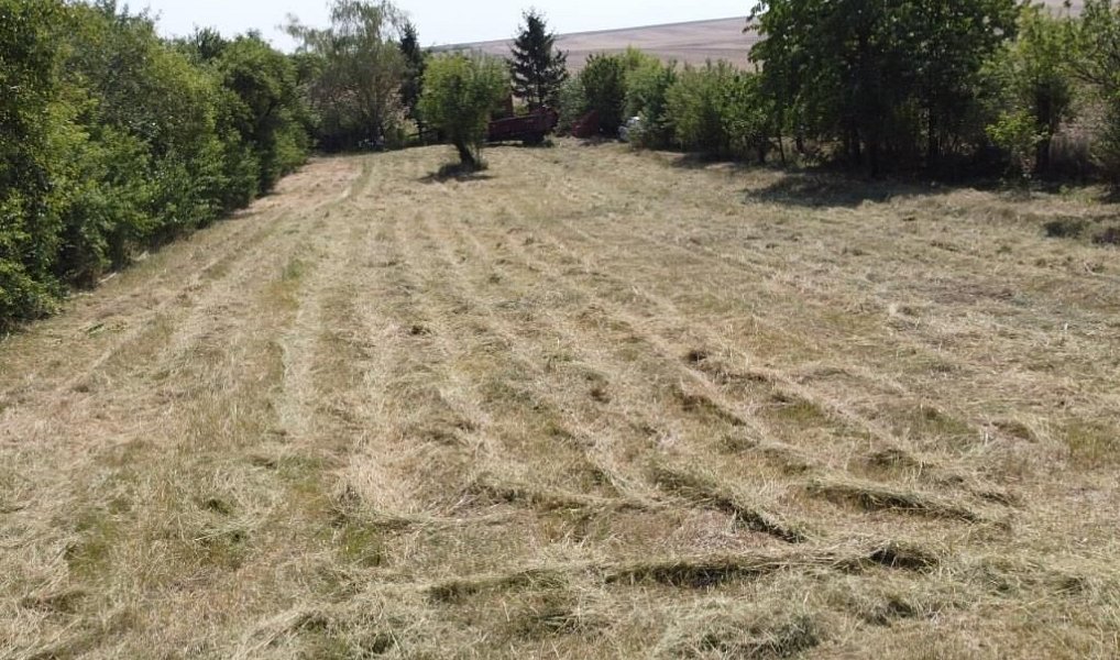 Prodej stavebního pozemku 1 920 m², Mšené-lázně – náhled fotky 8