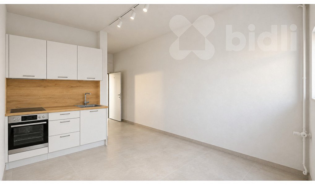 Prodej bytu 1+kk 19 m², Vodňany – náhled fotky 3
