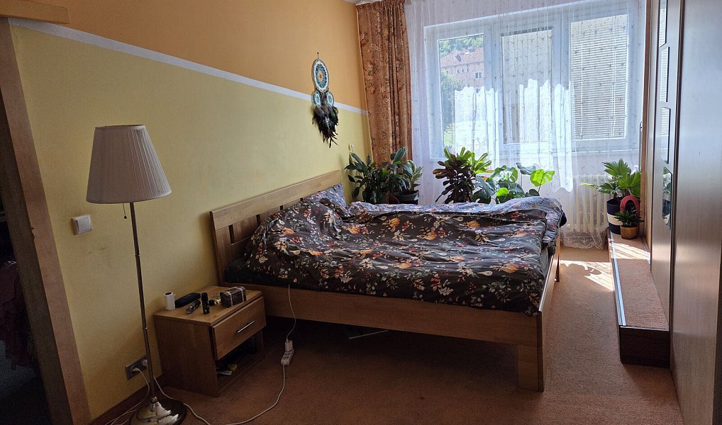 Prodej bytu 2+1 55 m², Karlovy Vary – náhled fotky 9