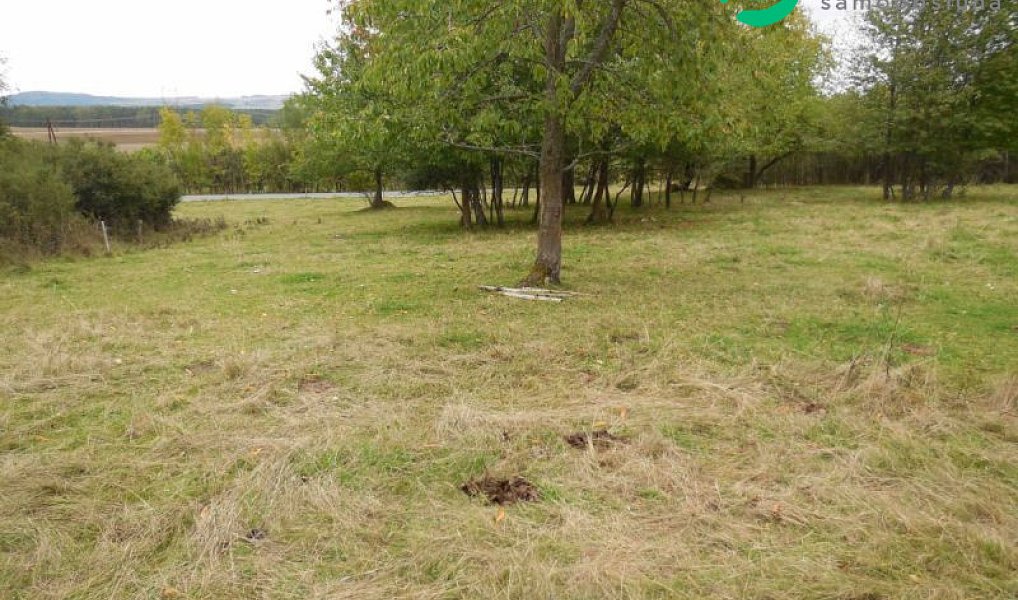 Prodej stavebního pozemku 1 000 m², Konstantinovy Lázně – náhled fotky 2