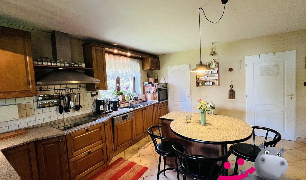 Prodej domu 446 m² s pozemkem 4 955 m², Černá Voda – náhled fotky 3