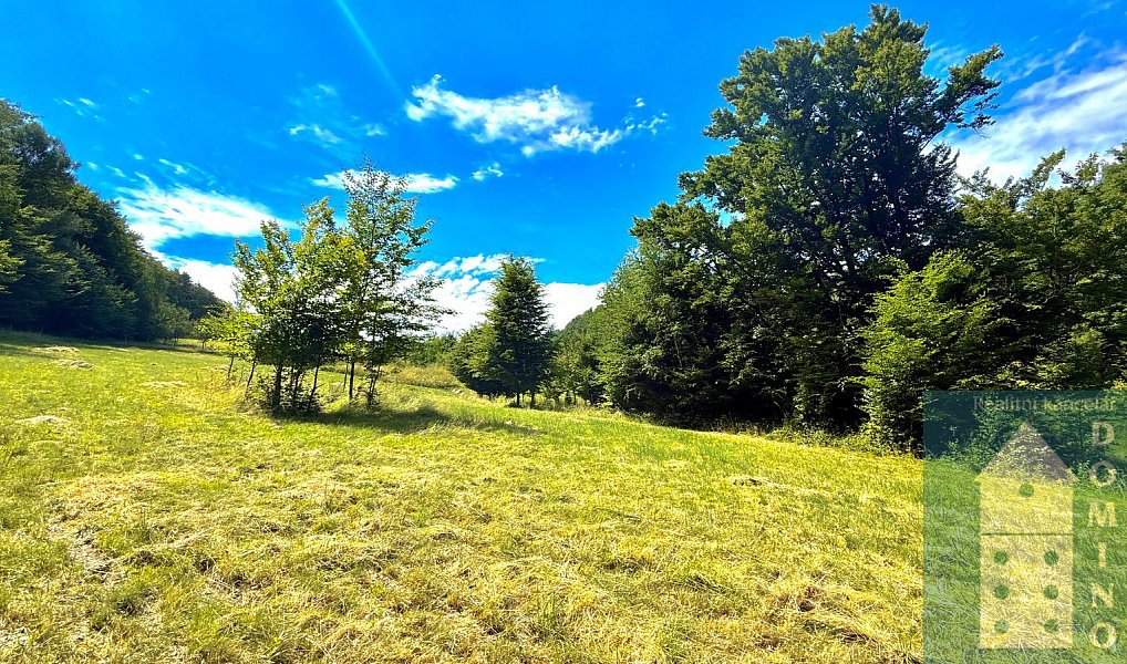 Prodej chaty/chalupy 54 m² s pozemkem 252 m², Držková – náhled fotky 34