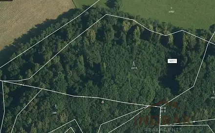 Prodej lesa 13 092 m², Na Samotě, Nový Jičín - Žilina