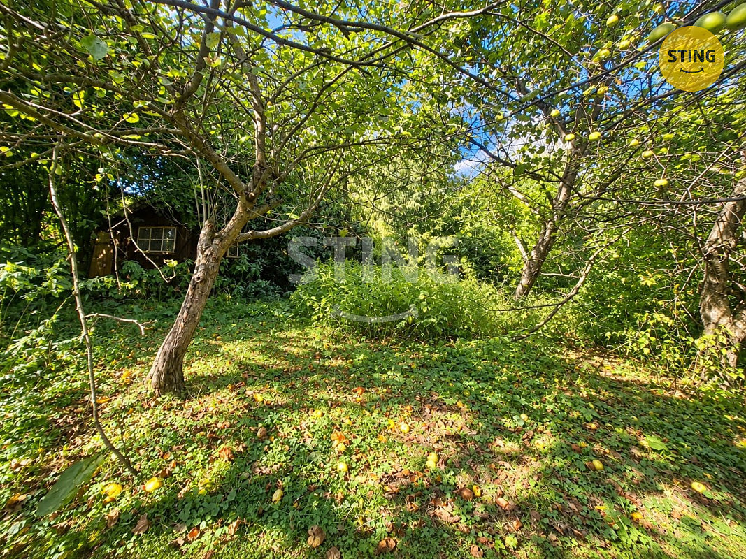 Prodej stavebního pozemku 1 168 m² – fotografie 3