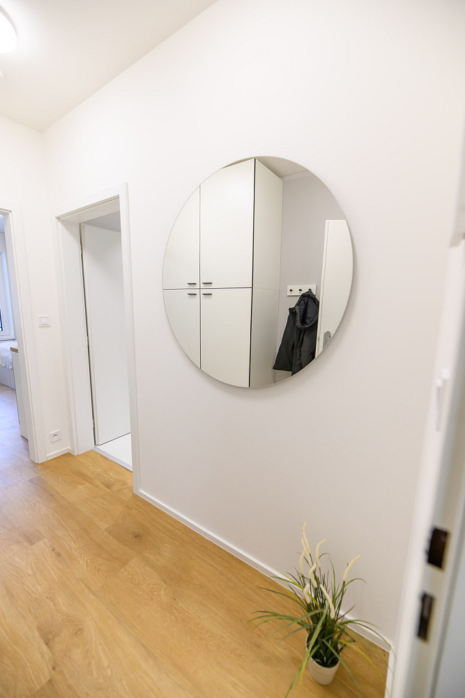 1+kk Apartment in Brno, Brno-sever – pohled 4
