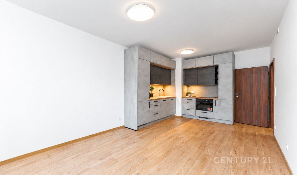Pronájem bytu 3+kk 66 m², Praha – náhled fotky 5