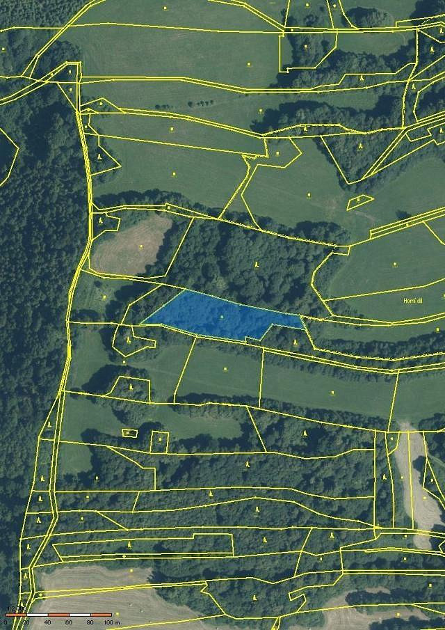 Prodej lesa 3 916 m²