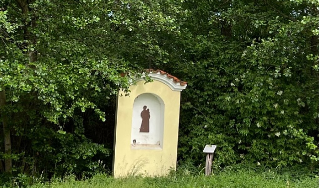 Prodej stavebního pozemku 1 774 m², Svinaře – náhled fotky 21