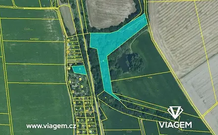 Prodej lesa 2 098 m², Kožušany-Tážaly, okres Olomouc