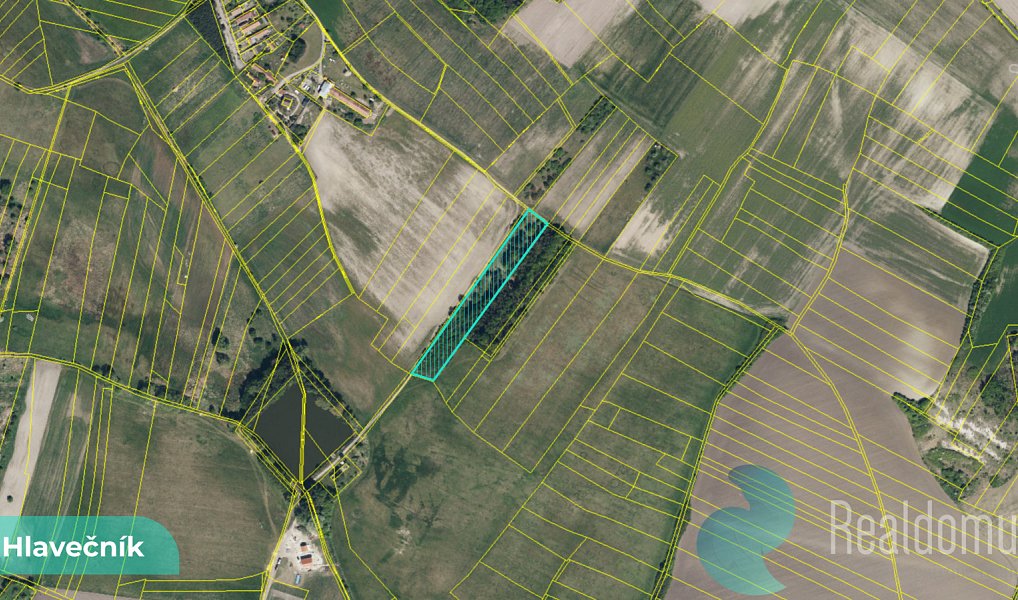 Prodej pole 3 089 m², Hlavečník – náhled fotky 4