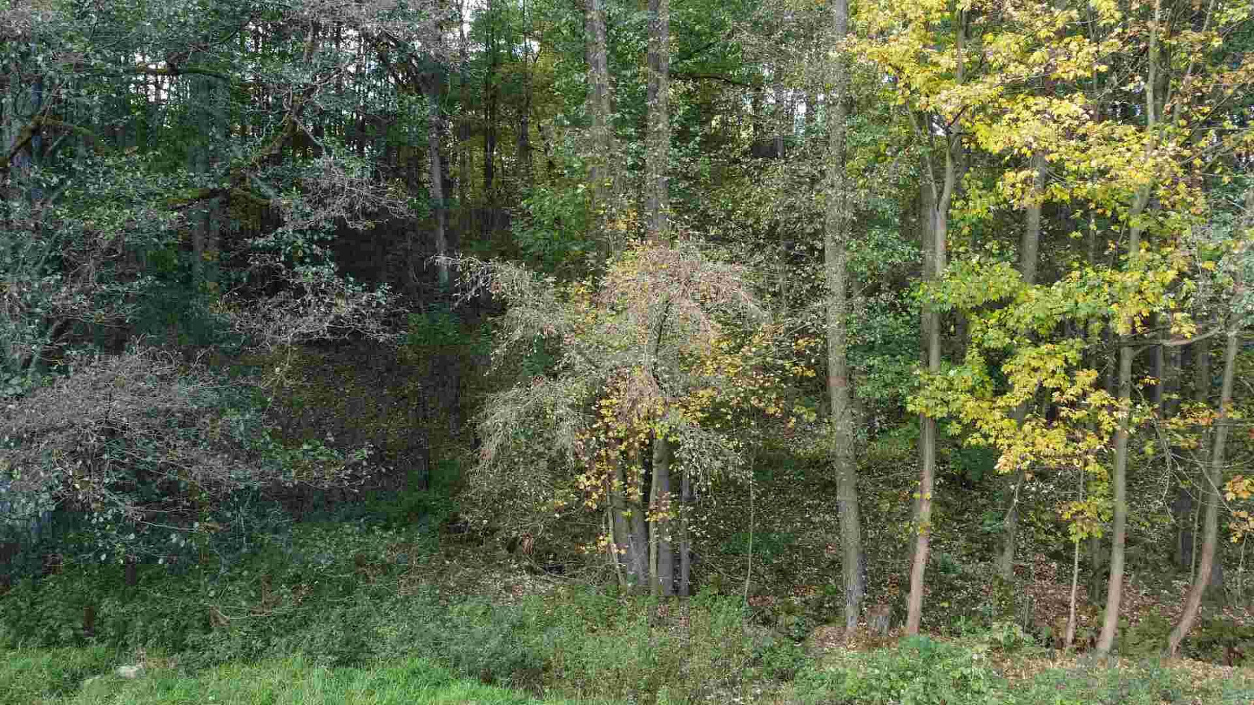 Prodej pozemku 543 m² – fotografie 4