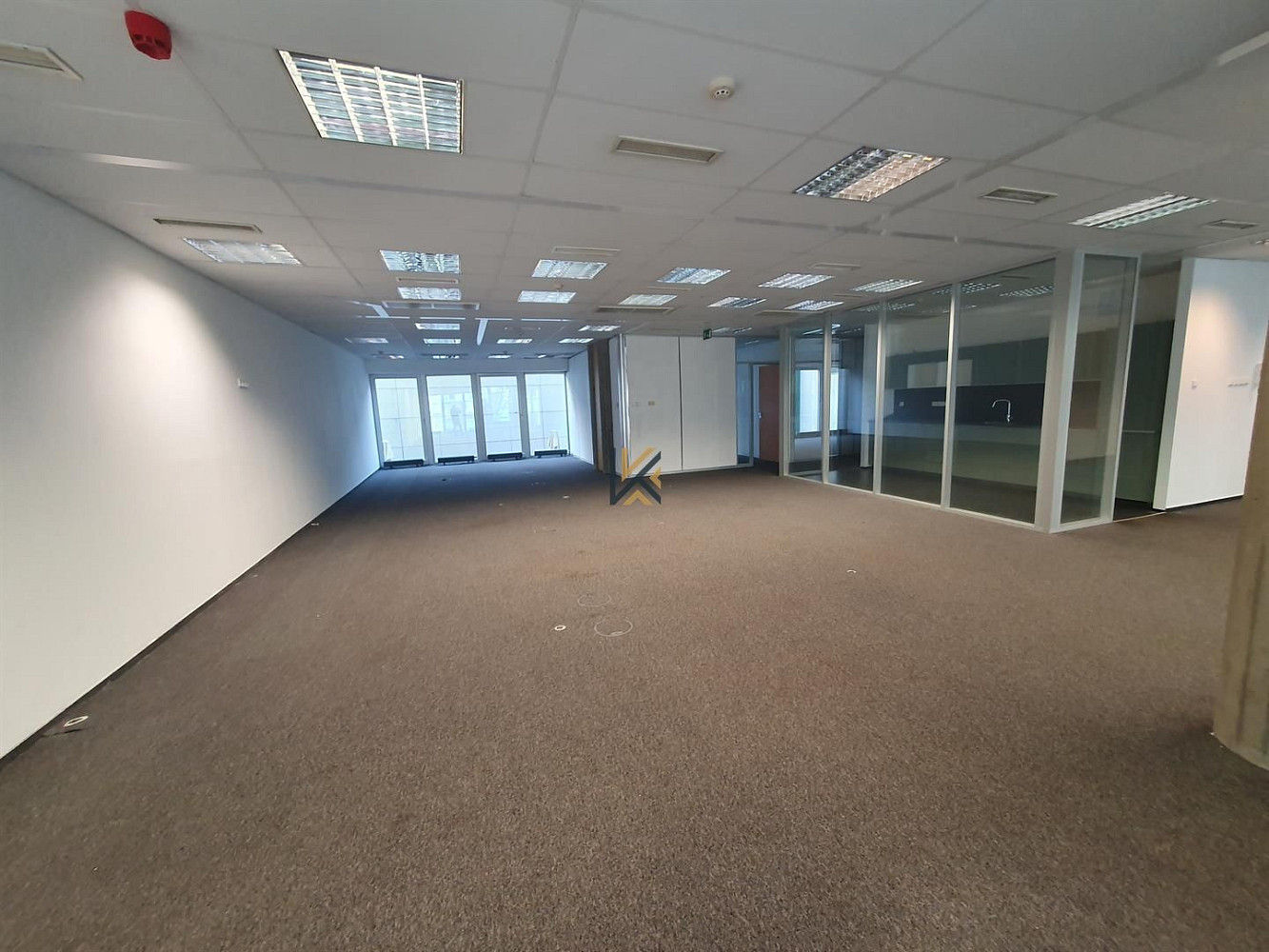 Pronájem kanceláře 321 m² – fotografie 3