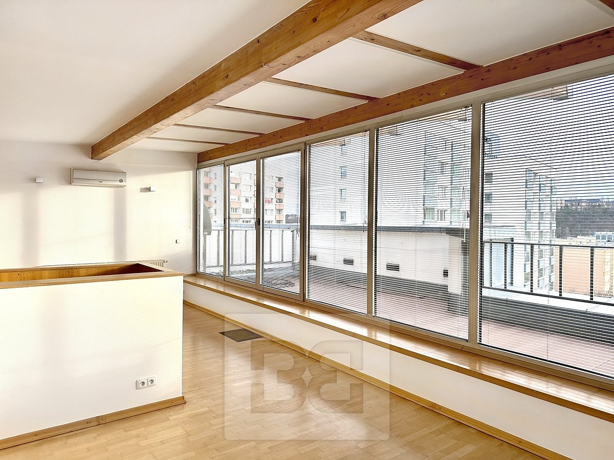 Pronájem bytu 4+kk 153 m²