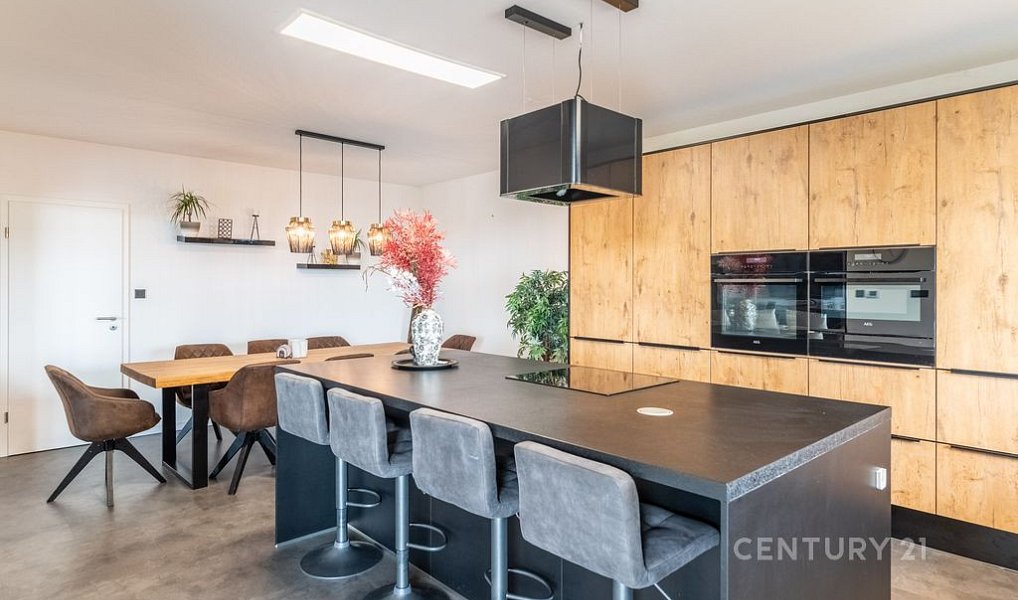 Prodej domu 260 m² s pozemkem 906 m², Hajany – náhled fotky 4