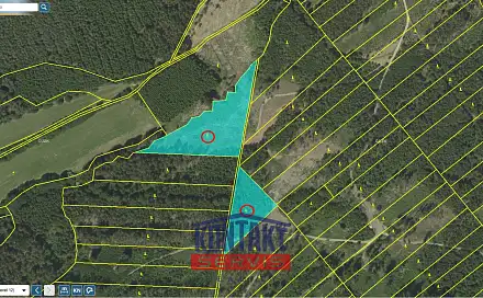 Prodej lesa 70 821 m², Jevíčko, okres Svitavy