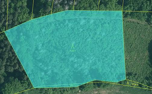 Prodej pozemku 7 673 m², Boršov nad Vltavou, okres České Budějovice