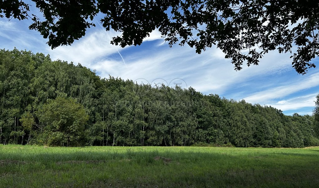 Prodej louky 7 691 m², Petrovice u Karviné – náhled fotky 6