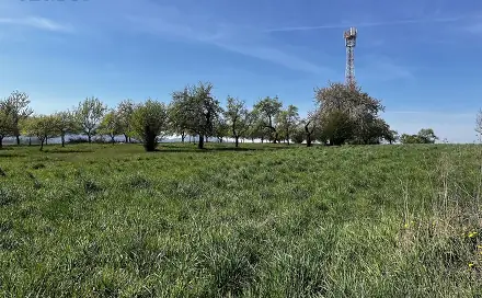 Pronájem pozemku 7 559 m², Horní Újezd, okres Přerov