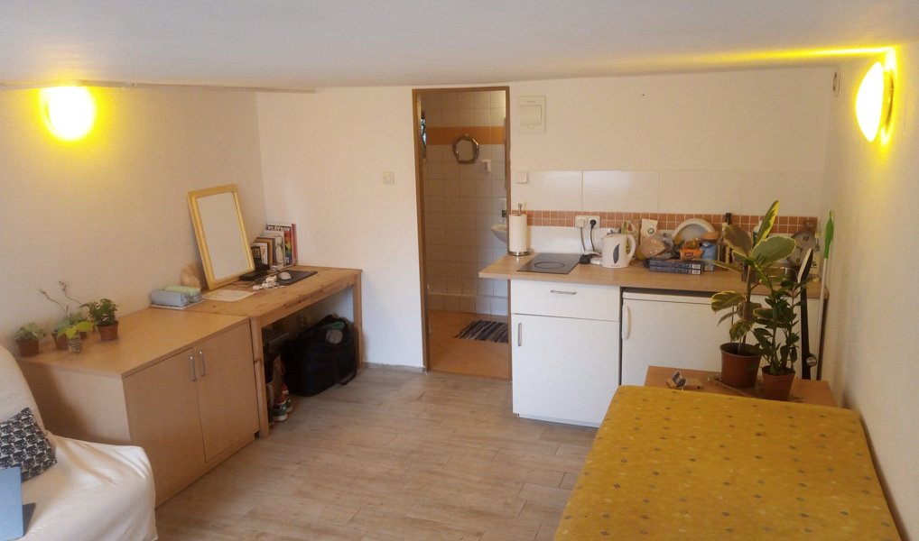Pronájem bytu 1+kk 25 m², Praha – náhled fotky 2