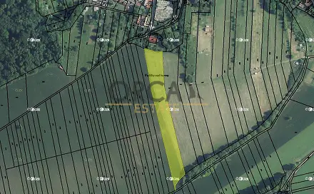 Ostatní