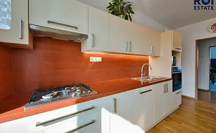 Prodej bytu 2+1 76 m², Vyškov - Rychtářov