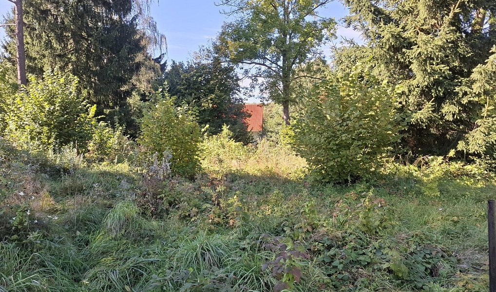 Prodej stavebního pozemku 1 656 m², Jiříkov – náhled fotky 3