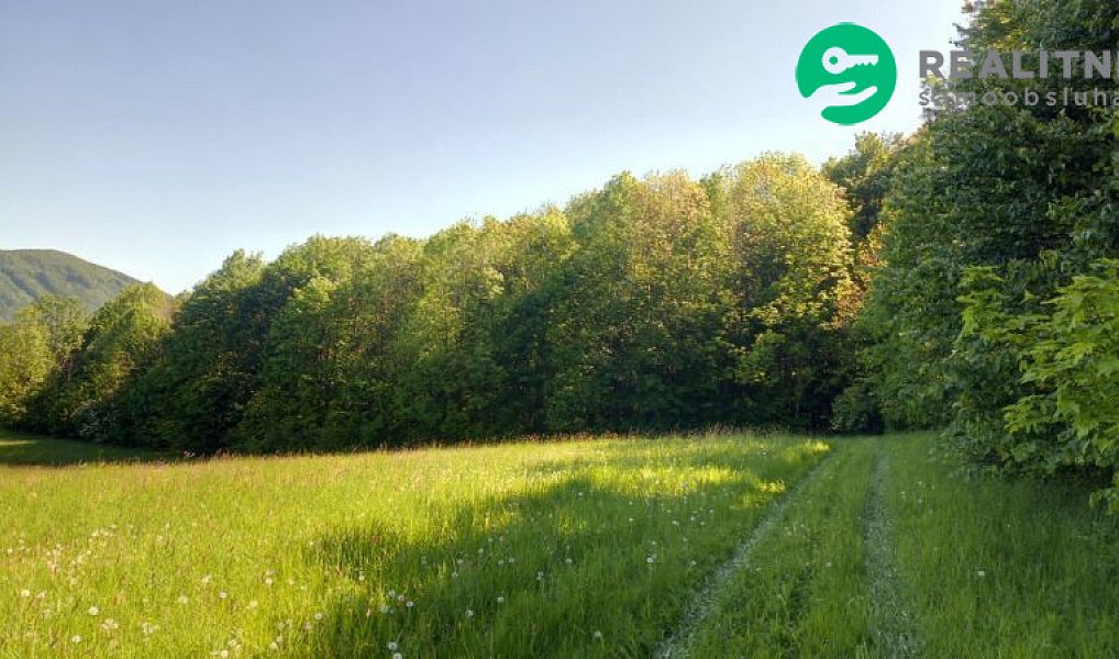 Prodej lesa 15 096 m², Ženklava – náhled fotky 2