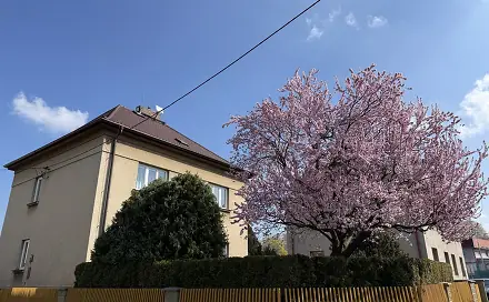 Prodej domu 429 m² s pozemkem 365 m², U Jezu, Ostrava - Muglinov